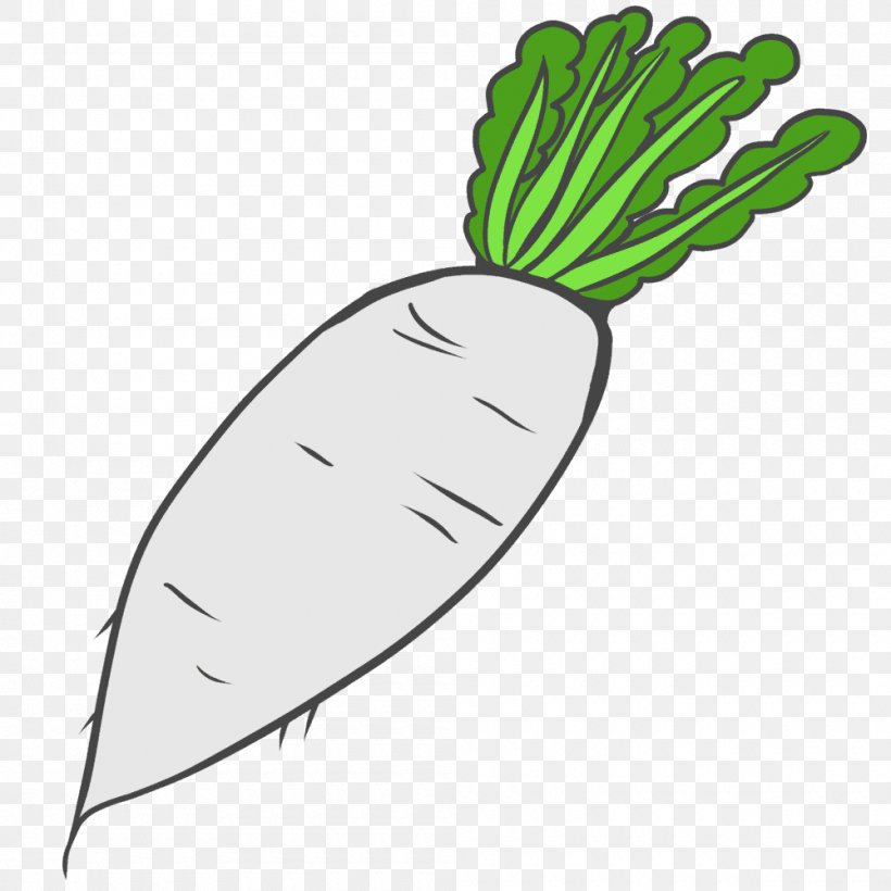 Vegetable Drawing Daikon Clip Art, PNG, 1000x1000px, Vegetable, Daikon, Drawing, Flower, Flowering Plant Download Free