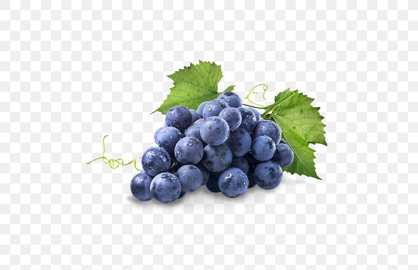 Concord Grape Common Grape Vine Isabella Stock Photography, PNG, 538x530px, Concord Grape, Berry, Bilberry, Blueberry, Blueberry Tea Download Free