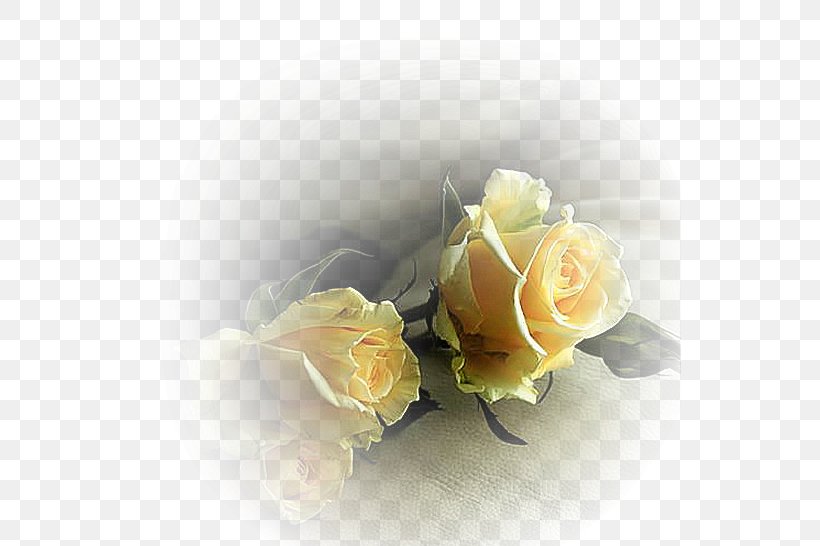 Our Lady Of Fátima Death Love Desktop Wallpaper, PNG, 542x546px, Our Lady Of Fatima, Cut Flowers, Death, Floral Design, Floristry Download Free