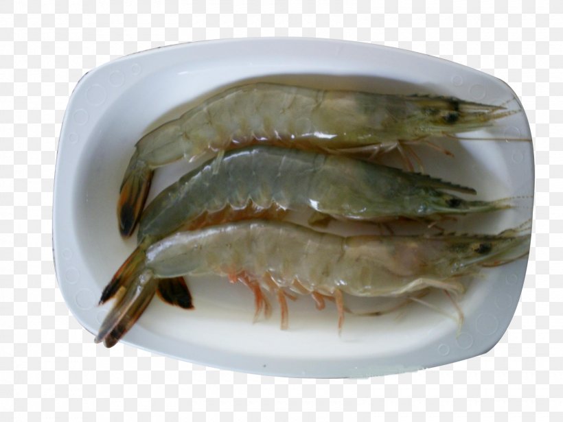 Seafood Chinese White Shrimp Fried Prawn Har Gow, PNG, 1600x1200px, Seafood, Animal Source Foods, Chinese White Shrimp, Dendrobranchiata, Fish Download Free