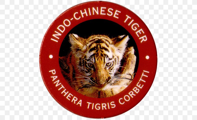 Tiger Channelview Independent School District Whiskers Snout, PNG, 500x500px, Tiger, Big Cats, Carnivoran, Cat Like Mammal, Channelview Download Free