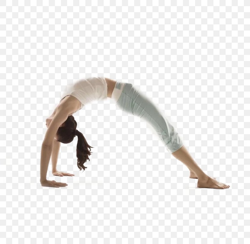 Yoga Instructor Asana Wrist Forearm, PNG, 800x800px, Yoga, Arm, Asana, Asento, B K S Iyengar Download Free