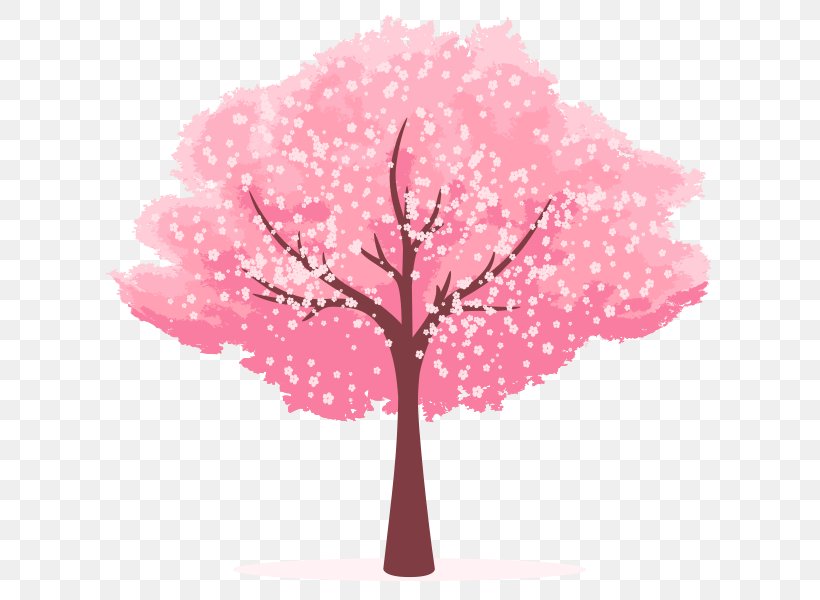 Cherry Blossom Clip Art, PNG, 620x600px, Cherry Blossom, Blossom, Branch, Cerasus, Cherry Download Free