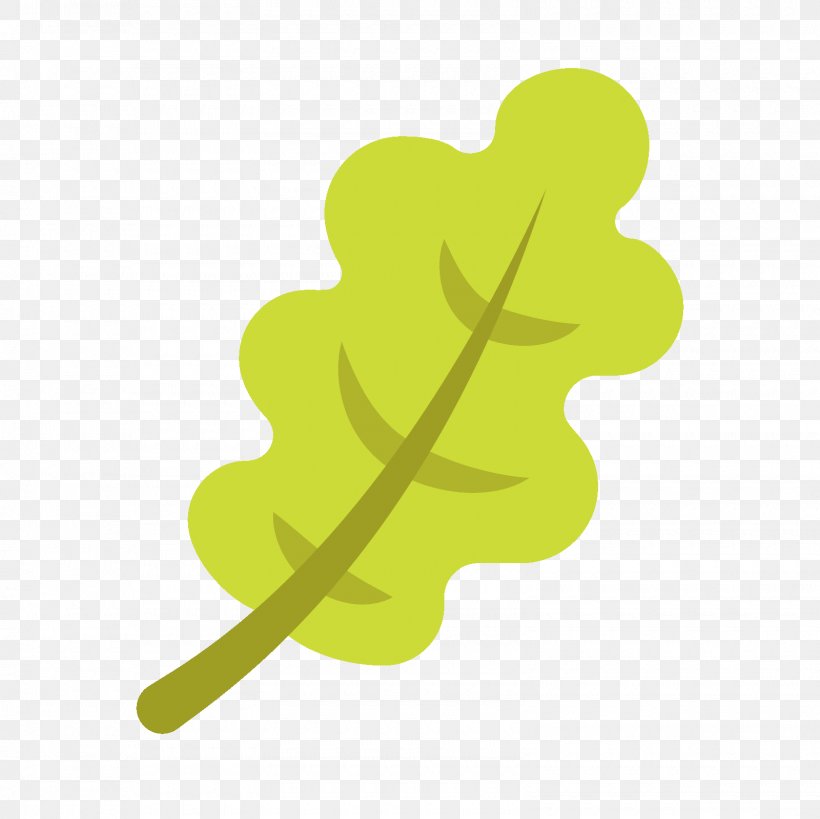 Leaf Oak, PNG, 1600x1600px, Leaf, Green, Oak, Plant, Plant Stem Download Free