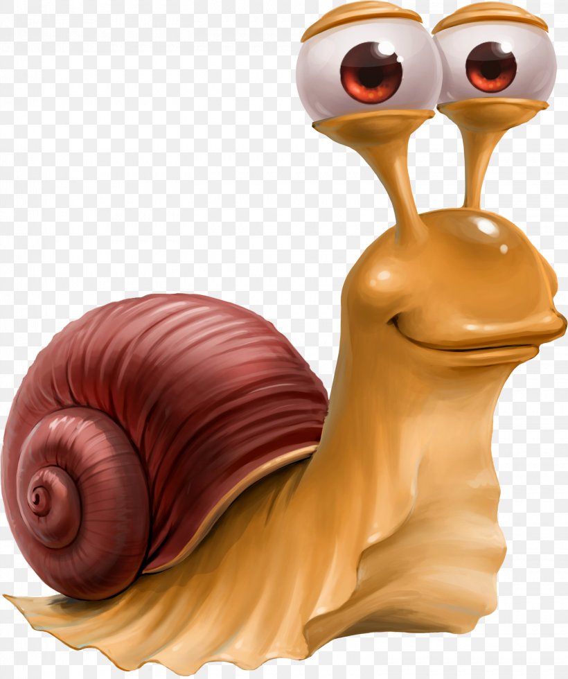 Escargot Snail Caracol, PNG, 3040x3636px, Escargot, Caracol, Cartoon, Drawing, Invertebrate Download Free