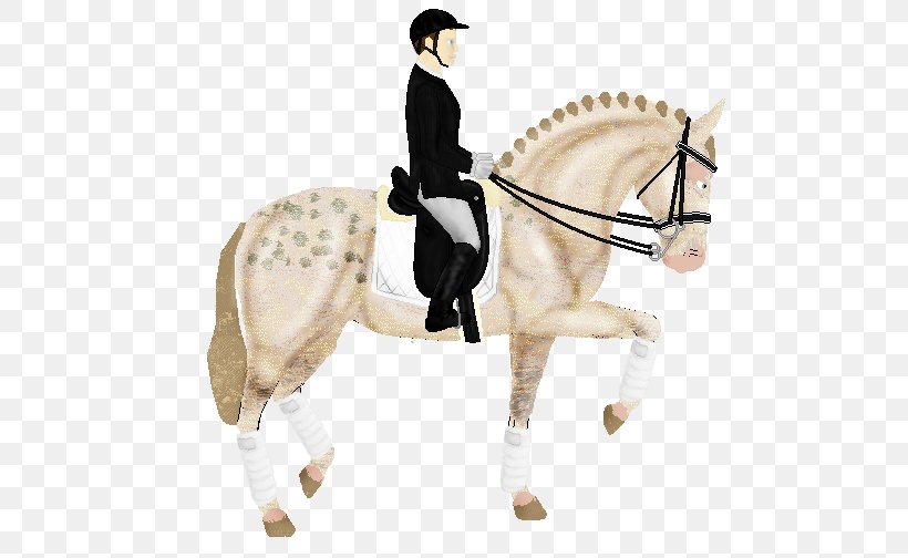 Hunt Seat Stallion Pony Bridle Horse, PNG, 532x504px, Hunt Seat, Animal Figure, Bit, Bridle, English Riding Download Free