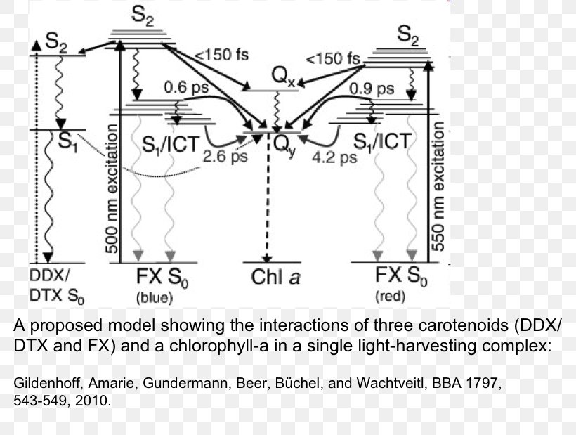 Paper Drawing /m/02csf Point Angle, PNG, 814x619px, Paper, Area, Black And White, Diagram, Drawing Download Free