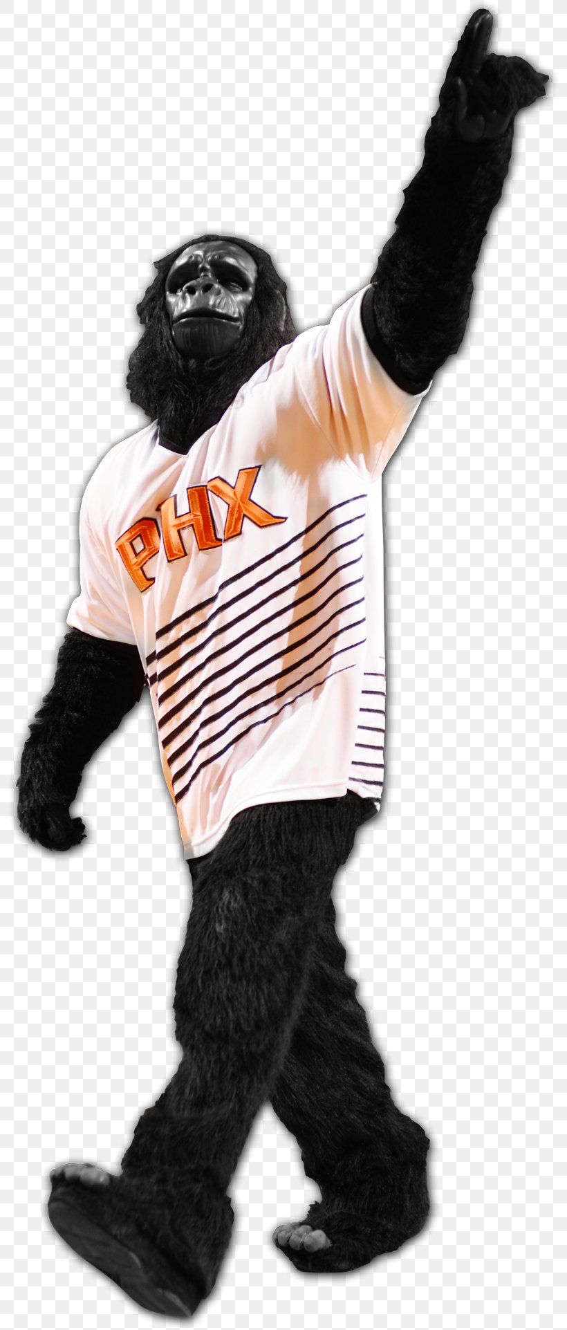 Phoenix Suns NBA 2K17 Mascot The Suns Gorilla, PNG, 800x1923px, Phoenix Suns, Charles Barkley, Costume, Fur, Inside The Nba Download Free