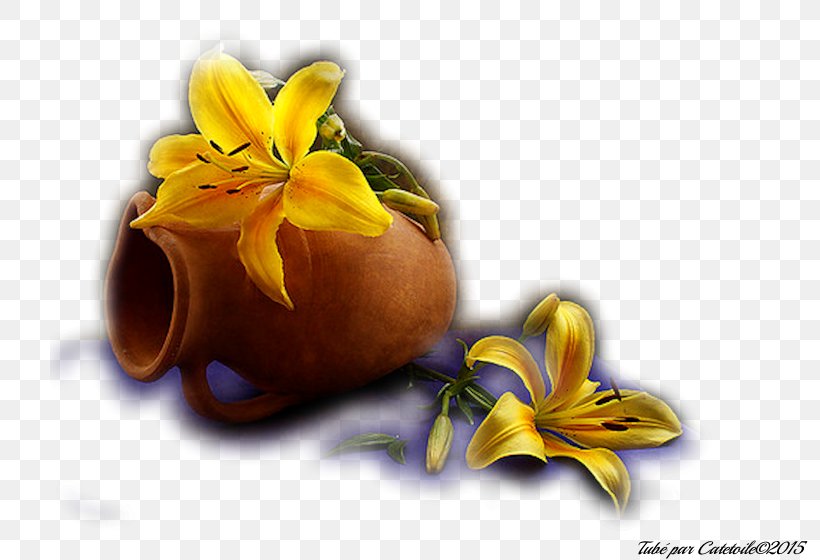Vase Still Life Photography Flower Petal, PNG, 800x560px, Vase, Bmw 1 Series, Bmw 4 Series, Bmw Serie 1, Computer Download Free