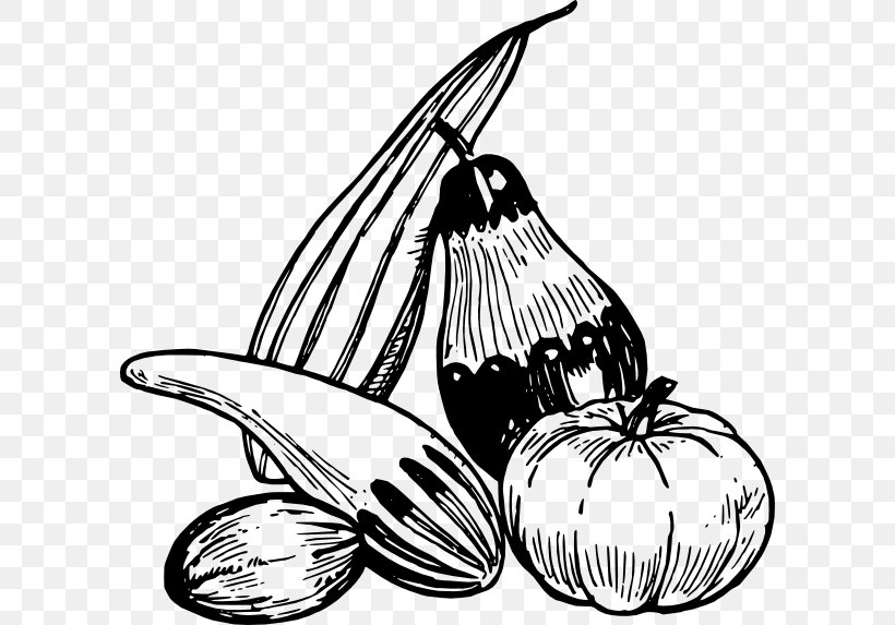 Vegetable Fruit Line Art Clip Art, PNG, 600x573px, Vegetable, Black And White, Drawing, Eggplant, Flower Download Free
