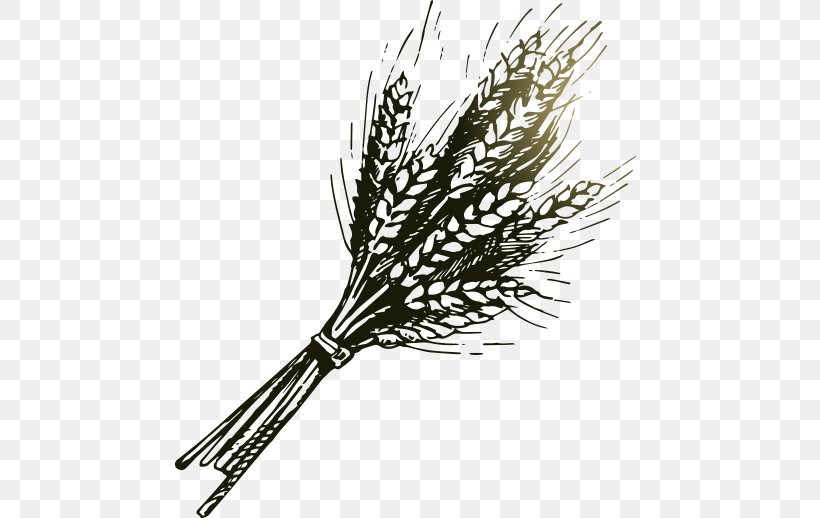 Bakery Wheat Drawing Illustration, PNG, 600x518px, Bakery, Black And White, Bread, Drawing, Feather Download Free