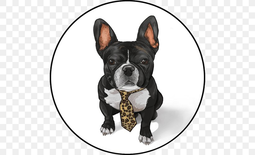 Boston Terrier French Bulldog Toy Bulldog Dog Breed, PNG, 500x500px, Boston Terrier, Breed, Bulldog, Carnivoran, Collar Download Free