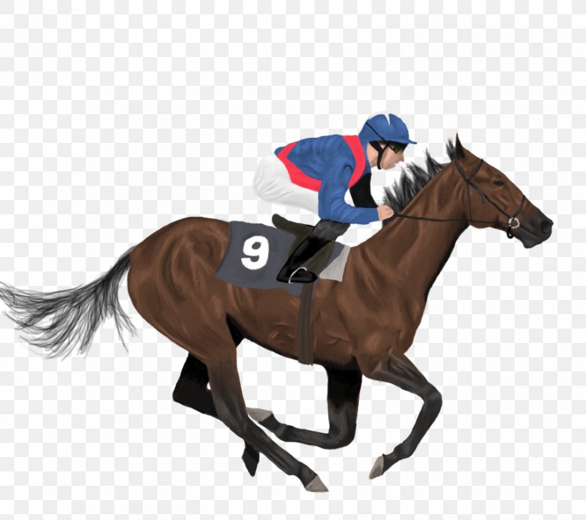 Icelandic Horse Jockey Horse Racing, PNG, 900x800px, Icelandic Horse, Ambling Gait, Animal Sports, Bridle, Drawing Download Free