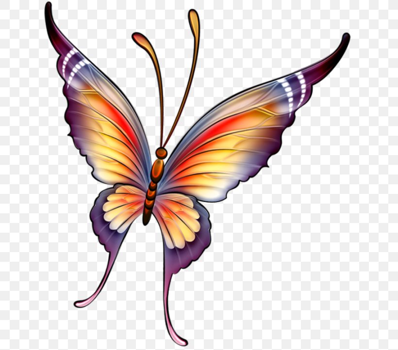 Butterfly Drawing Painting, PNG, 650x722px, Butterfly, Art, Arthropod, Brush Footed Butterfly, Butterflies And Moths Download Free