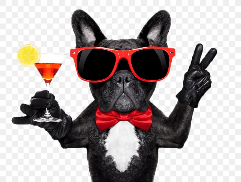 Dog Cocktail Glass Martini Cocktail Party, PNG, 774x619px, Dog, Alcoholic Drink, Bar, Carnivoran, Cocktail Download Free