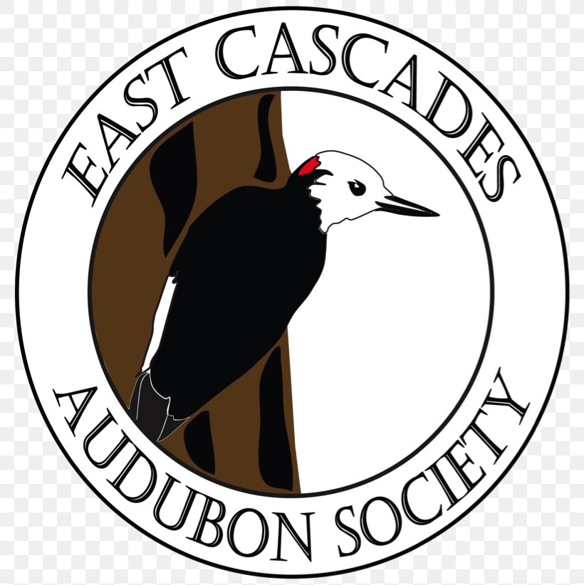 National Audubon Society National Association Of Letter Carriers Ligonier Organization Bird, PNG, 793x822px, National Audubon Society, Area, Beak, Bird, Birdwatching Download Free