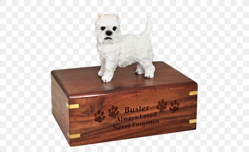 West Highland White Terrier Dog Breed Border Collie Companion Dog Poodle, PNG, 500x500px, West Highland White Terrier, Border Collie, Box, Breed, Carnivoran Download Free