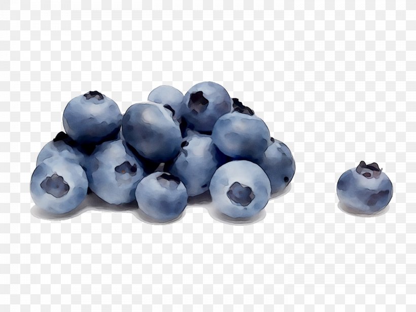 Highbush Blueberry Bilberry Huckleberry, PNG, 1476x1107px, Blueberry, Berry, Bilberry, Constipation, Consumption Download Free
