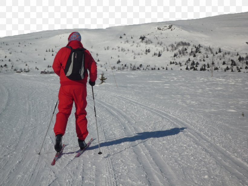 Ski Mountaineering Ski Binding Alpine Skiing Piste, PNG, 1200x900px, Ski Mountaineering, Adventure, Alpine Skiing, Arctic, Cross Country Skiing Download Free