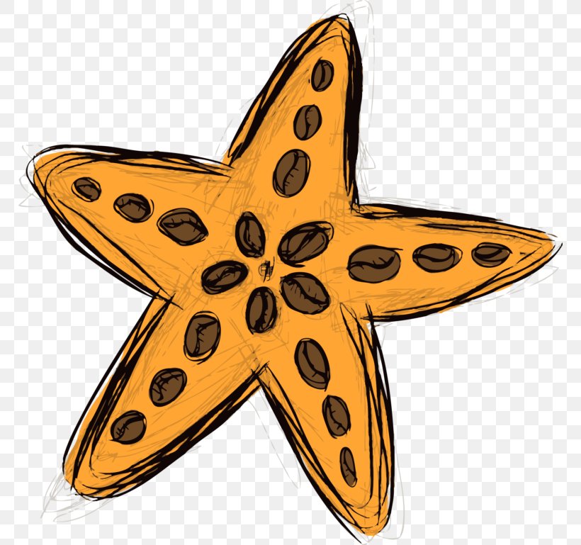 Starfish Symbol, PNG, 768x769px, Starfish, Echinoderm, Invertebrate, Marine Invertebrates, Symbol Download Free