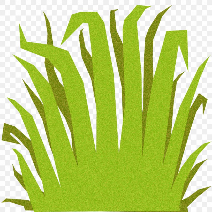 Green Grass Plant Grass Family Clip Art, PNG, 1024x1024px, Green, Grass, Grass Family, Plant Download Free