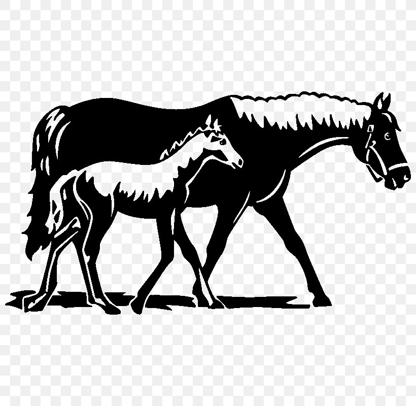 Horse Foal Colt Mare Wall Decal, PNG, 800x800px, Horse, Black And White, Colt, Equestrian, Fauna Download Free