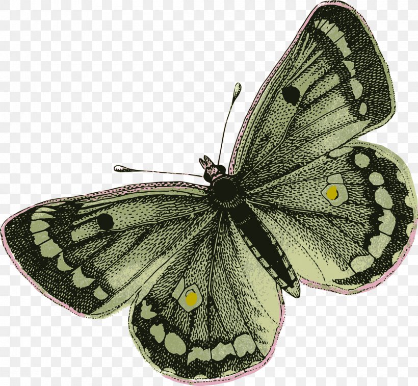 Butterfly Insect Moth Clip Art, PNG, 2400x2218px, Butterfly, Animal, Arthropod, Brush Footed Butterfly, Butterflies And Moths Download Free