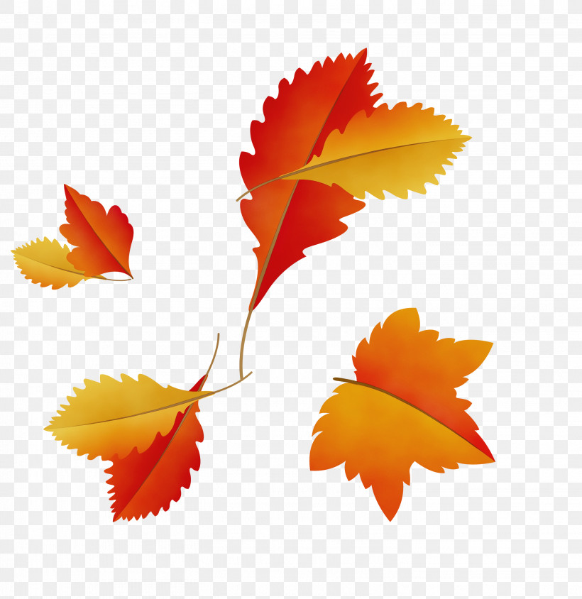 Maple Leaf, PNG, 2914x3000px, Autumn Leaf, Biology, Cartoon Leaf, Fall Leaf, Leaf Download Free