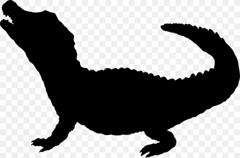 Whiskers Cat Tyrannosaurus Fauna Clip Art, PNG, 853x560px, Whiskers, Animal, Cat, Claw, Dinosaur Download Free