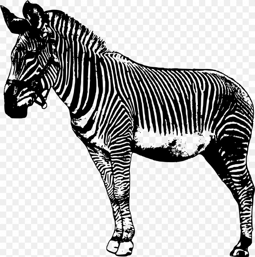 Zebra Drawing Clip Art, PNG, 2382x2400px, Zebra, Animal Figure, Black And White, Cartoon, Drawing Download Free