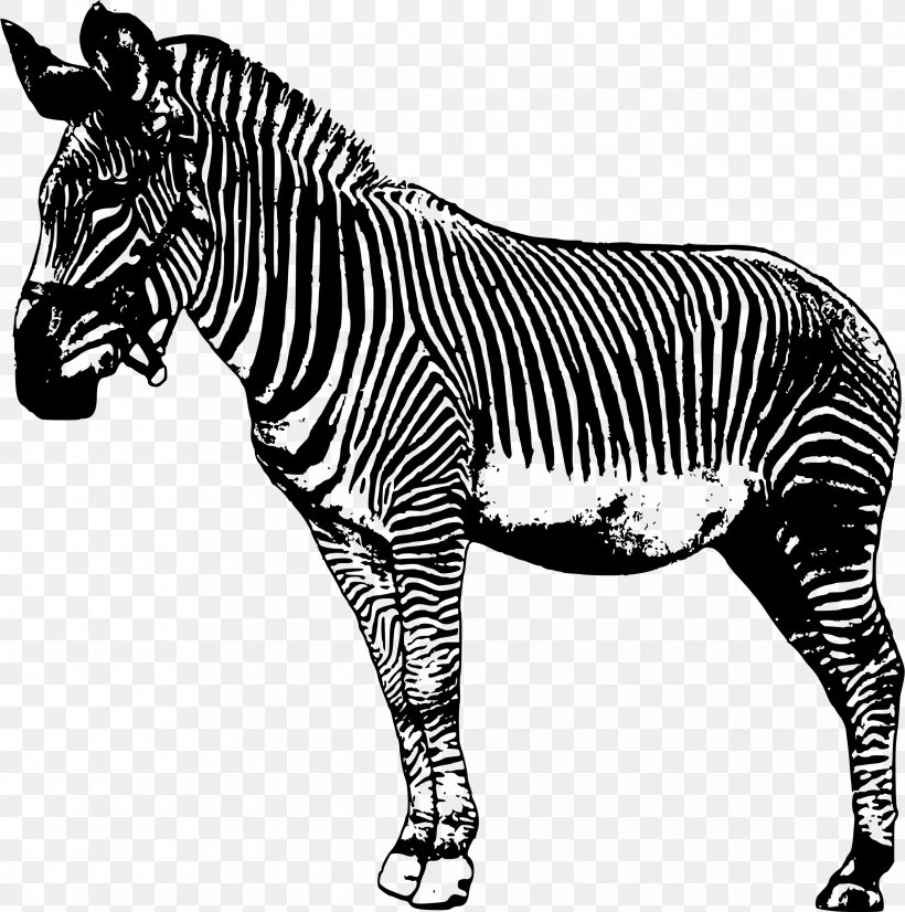 Zebra Drawing Clip Art, PNG, 2382x2400px, Zebra, Animal Figure, Black ...