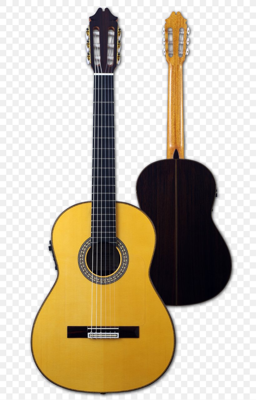 Acoustic Guitar Bass Guitar Cuatro Tiple Cavaquinho, PNG, 701x1281px, Watercolor, Cartoon, Flower, Frame, Heart Download Free