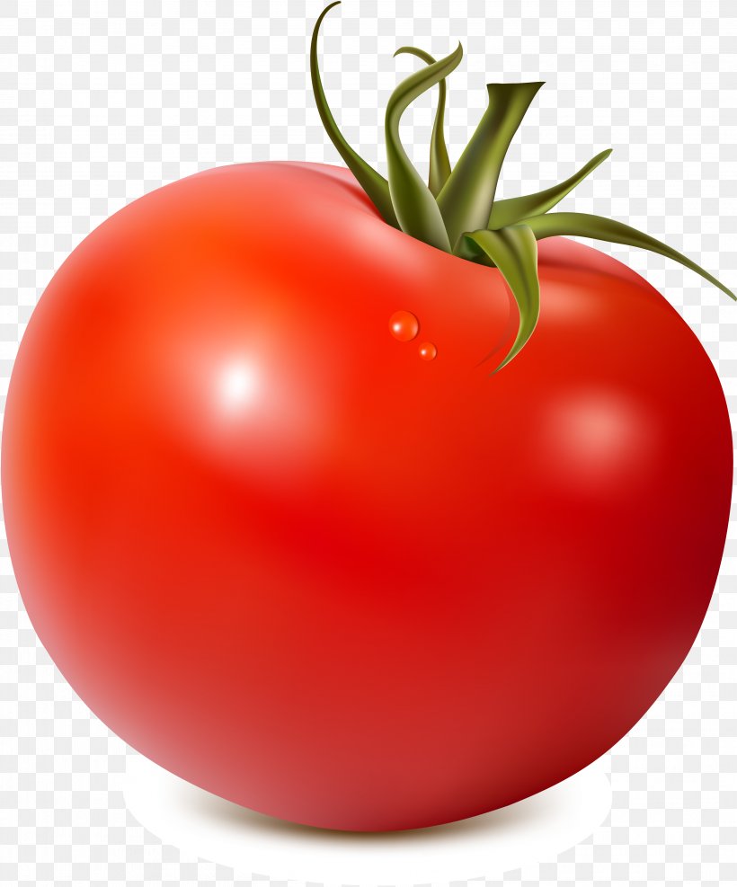 Tomato Soup Tomato Juice Clip Art, PNG, 3188x3840px, Tomato, Apple, Bush Tomato, Diet Food, Food Download Free