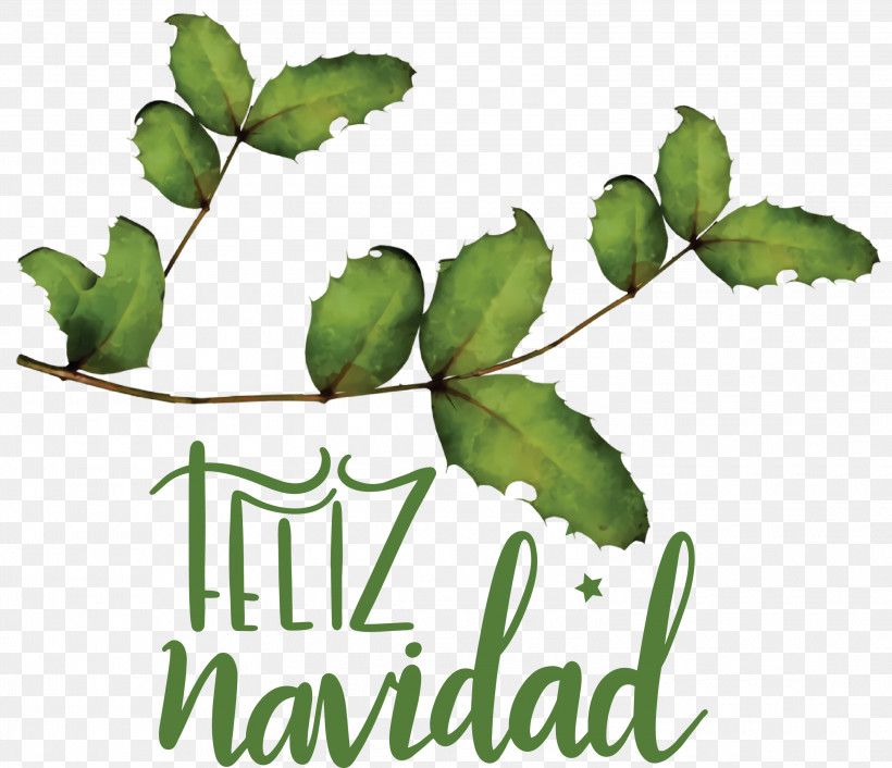 Feliz Navidad Merry Christmas, PNG, 3000x2584px, Feliz Navidad, Christmas And Holiday Season, Christmas Day, Christmas Decoration, Christmas Ornament Download Free