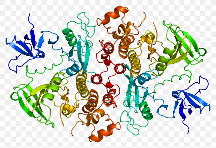 HCK Protein Kinase Tyrosine Kinase Gene, PNG, 977x671px, Watercolor, Cartoon, Flower, Frame, Heart Download Free