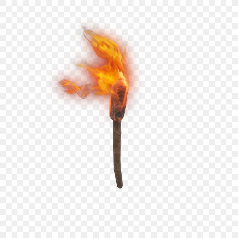 Torch Image Clip Art Fire, PNG, 2048x2048px, Torch, Combustion, Fire, Flame, Middle Ages Download Free