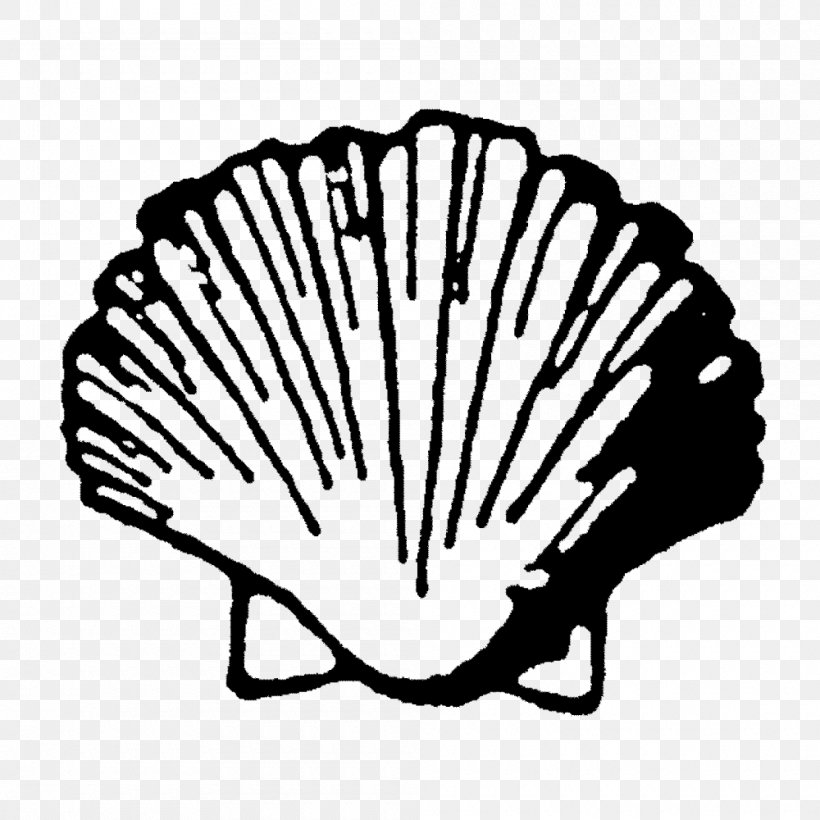 Scallop Royalty-free Clip Art, PNG, 1000x1000px, Scallop, Artwork, Black And White, Conch, Drawing Download Free