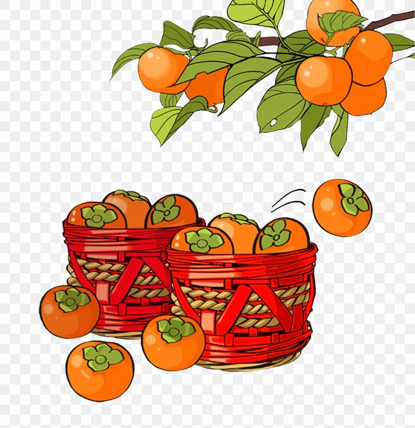 Shuangjiang Mangzhong Clementine Solar Term Illustration, PNG, 1104x1140px, Shuangjiang, Apple, Citrus, Clementine, Diet Food Download Free