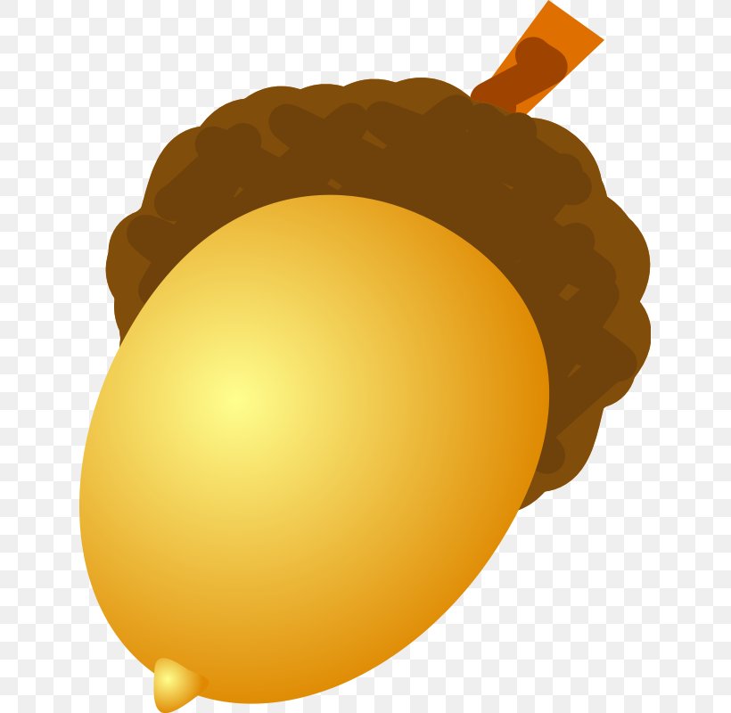 Acorn Image, Free, Acorns, PNG, 641x800px, Acorn, Cartoon, Commodity, Drawing, Egg Download Free