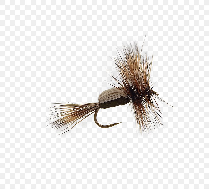 Artificial Fly Insect Nymph Mayfly Fly Fishing, PNG, 555x741px, Artificial Fly, Airport, Baetis, Fishing Bait, Fly Fishing Download Free