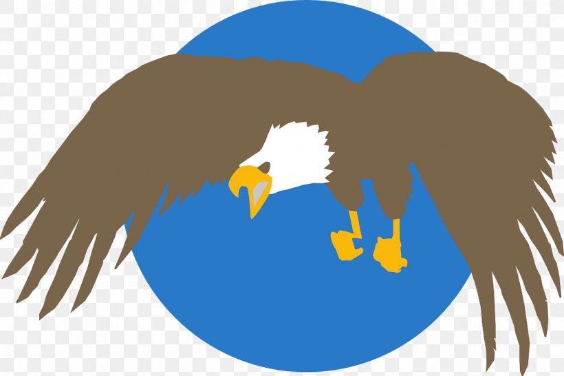 Bald Eagle Bird Clip Art, PNG, 1280x853px, Bald Eagle, Accipitriformes, Beak, Bird, Bird Of Prey Download Free