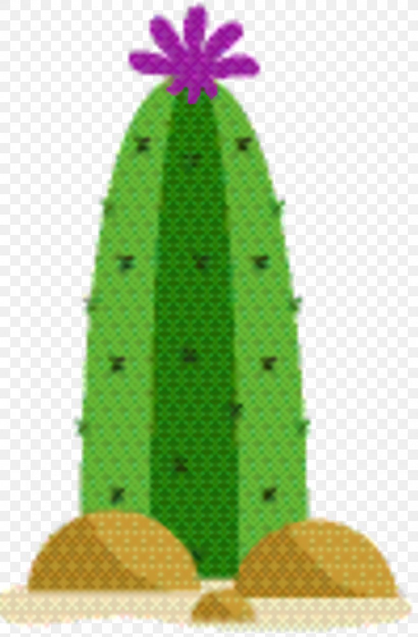 Christmas Hat Cartoon, PNG, 1028x1564px, Spruce, Cactus, Christmas Day, Christmas Ornament, Christmas Tree Download Free
