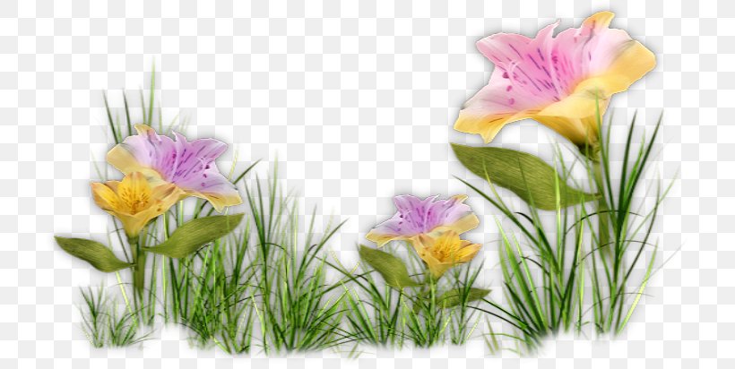 Desktop Wallpaper Image Blog Printemps, PNG, 724x412px, Blog, Flower, Flowering Plant, Grass, Internet Download Free