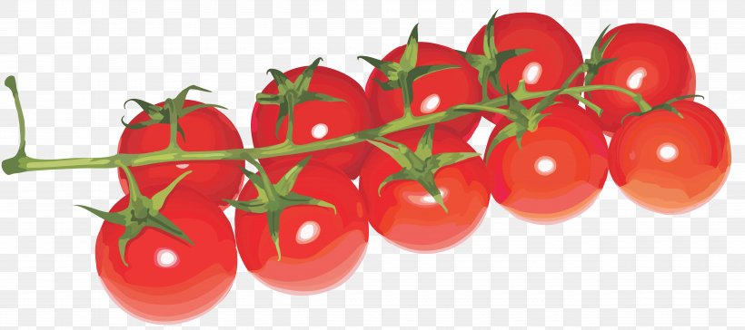 Cherry Tomato Clip Art, PNG, 5000x2223px, Tomato Juice, Bush Tomato, Cherry, Cherry Tomato, Diet Food Download Free
