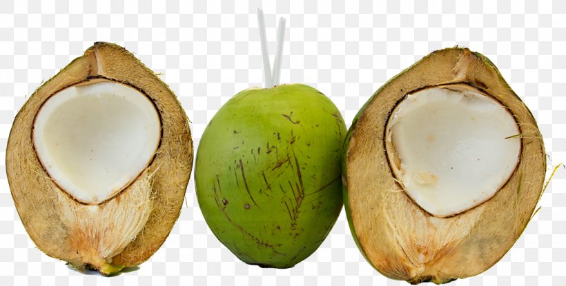 Coconut Water Health Shake Coconut Oil Fruit, PNG, 1132x574px, Coconut Water, Black Sapote, Coconut, Coconut Oil, Drink Download Free