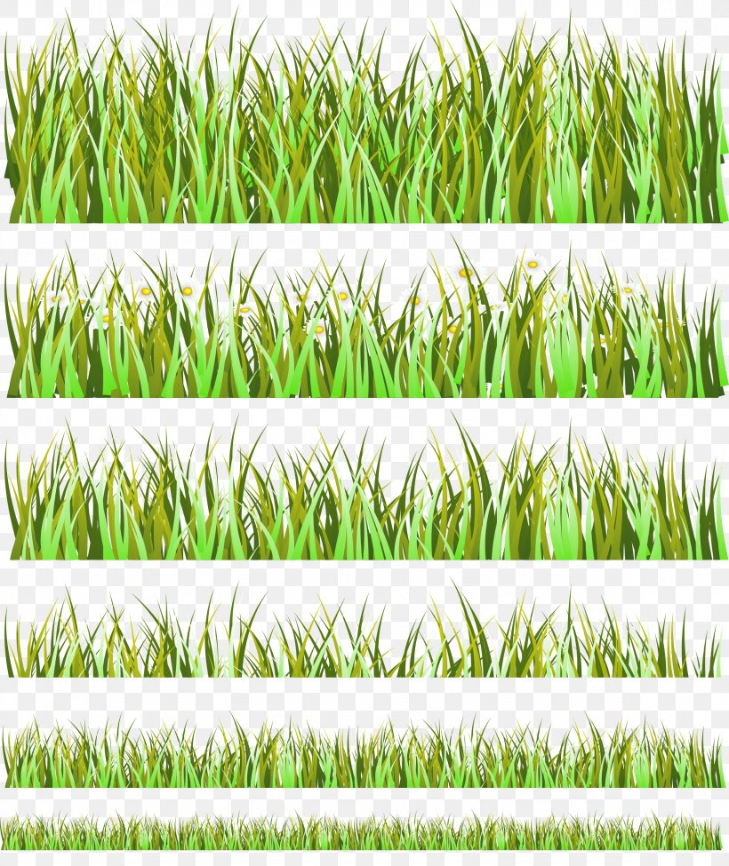 Euclidean Vector Illustration, PNG, 2356x2803px, Royaltyfree, Agriculture, Chrysopogon Zizanioides, Commodity, Crop Download Free