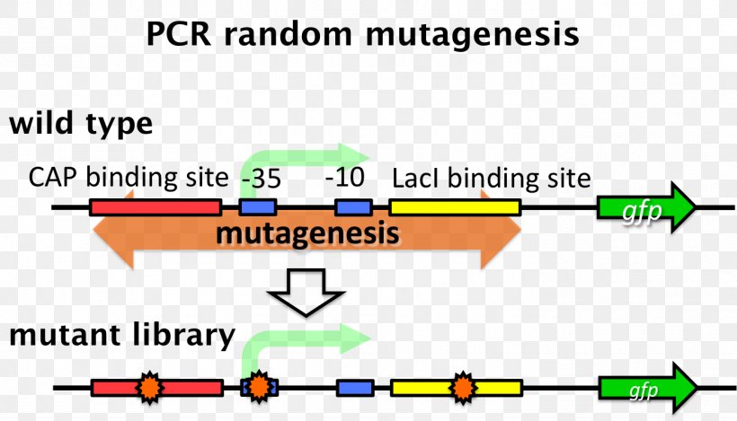 Line Angle Brand Mutagenesis Font, PNG, 1396x800px, Brand, Area, Diagram, Document, Green Download Free