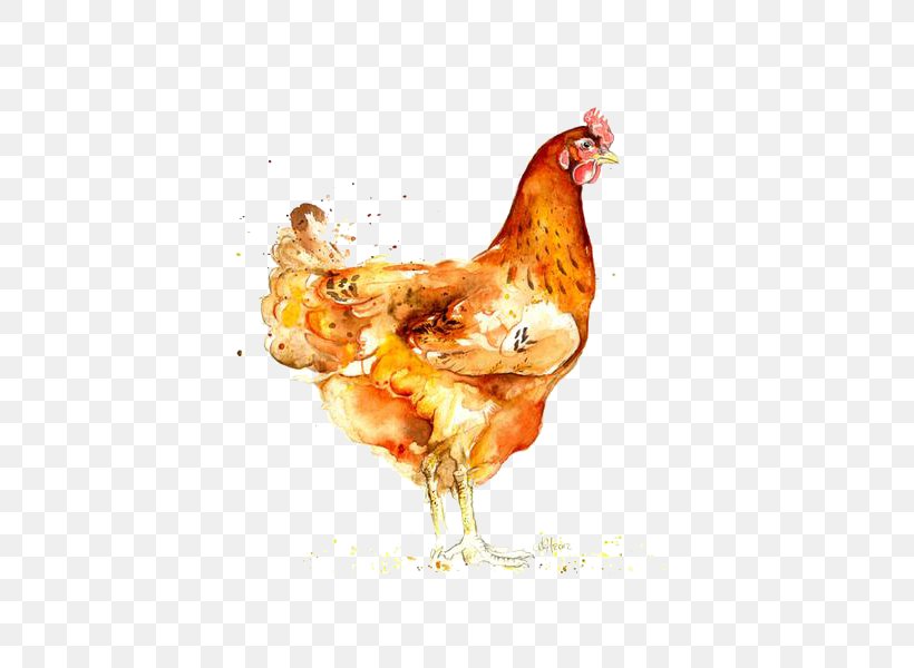 Roast Chicken Watercolor: Animals Watercolor Painting, PNG, 600x600px, Chicken, Beak, Bird, Chicken Coop, Chicken Or The Egg Download Free