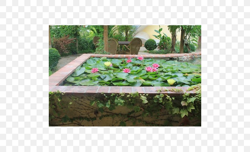 Backyard Pond Lawn Groundcover Rectangle, PNG, 500x500px, Backyard, Garden, Grass, Groundcover, Landscape Download Free