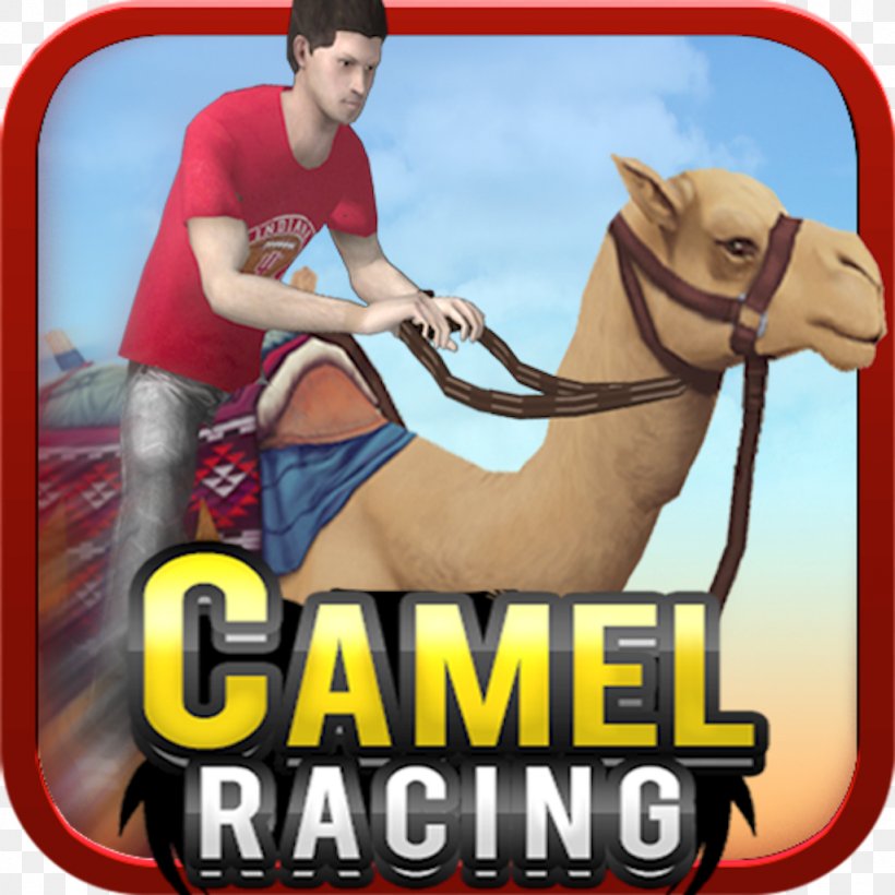 Colin McRae: Dirt Racing Video Game Stunts, PNG, 1024x1024px, Colin Mcrae Dirt, Auto Racing, Camel, Camel Like Mammal, Car Download Free